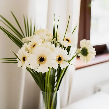 Center - 3 - New Building - Private Parking Place - Garage アパート