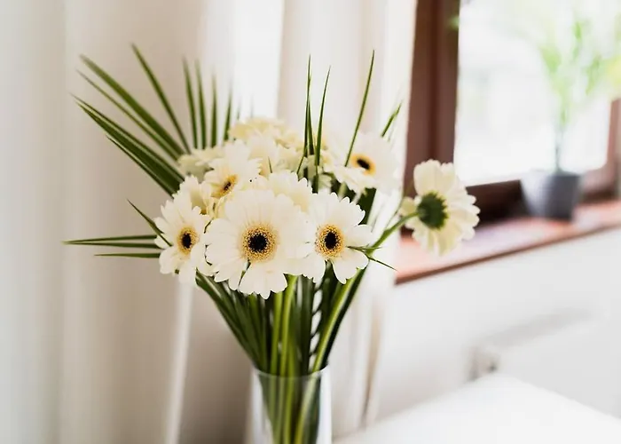 Center - 3 - New Building - Private Parking Place - Garage شقة