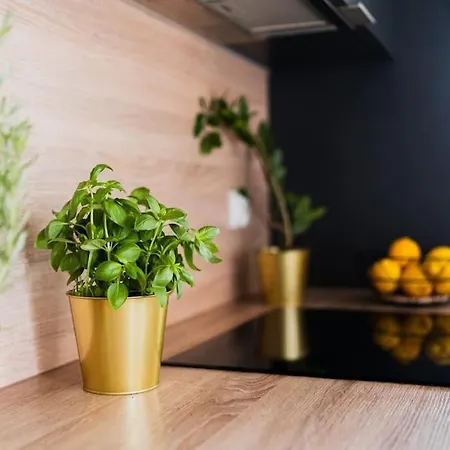 Center - 3 - New Building - Private Parking Place - Garage Appartamento *