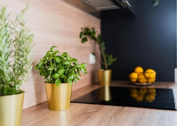 Center - 3 - New Building - Private Parking Place - Garage Appartamento *